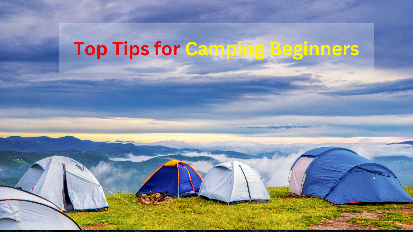 Ultimate Guide Top Tips for Camping Beginners