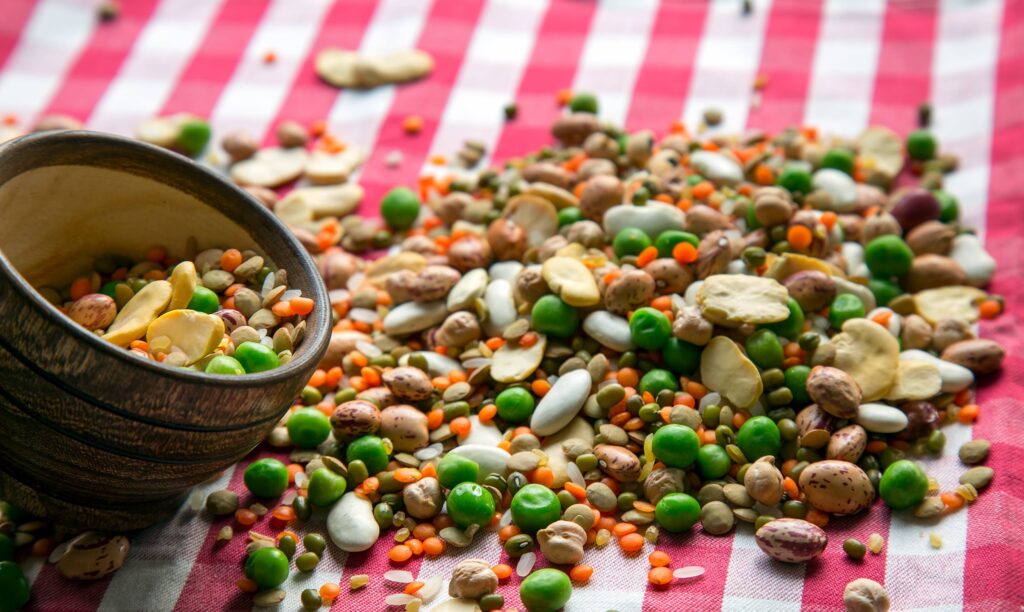 Assorted dried legumes and beans scattered on a red and white checkered picnic tablecloth, featuring lentils, peas, and beans spilling from a wooden bowl, ideal for non-refrigerated camping food ideas
